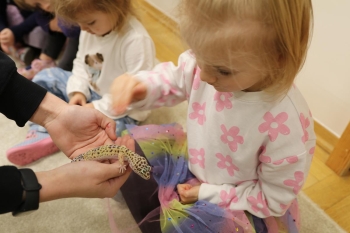 IMG_0237 (Loretanki.edu.pl).JPG