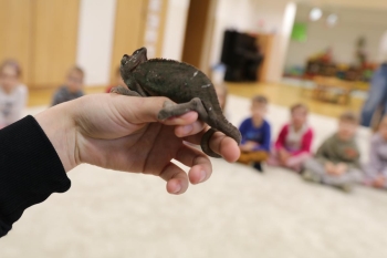 IMG_0239 (Loretanki.edu.pl).JPG