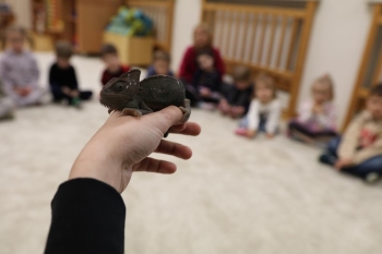 IMG_0241 (Loretanki.edu.pl).JPG