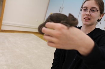 IMG_0242 (Loretanki.edu.pl).JPG