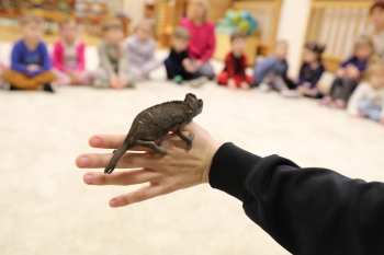 IMG_0248 (Loretanki.edu.pl).JPG