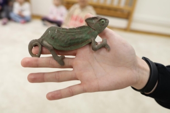 IMG_0252 (Loretanki.edu.pl).JPG