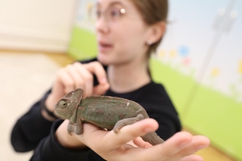 IMG_0253 (Loretanki.edu.pl).JPG