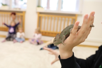 IMG_0255 (Loretanki.edu.pl).JPG