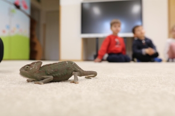 IMG_0258 (Loretanki.edu.pl).JPG