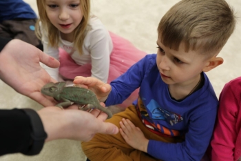 IMG_0266 (Loretanki.edu.pl).JPG