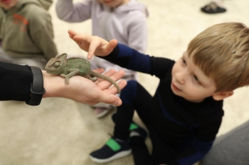 IMG_0270 (Loretanki.edu.pl).JPG