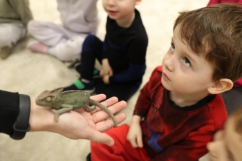 IMG_0271 (Loretanki.edu.pl).JPG