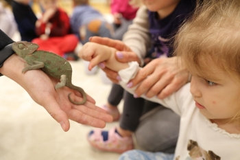 IMG_0277 (Loretanki.edu.pl).JPG