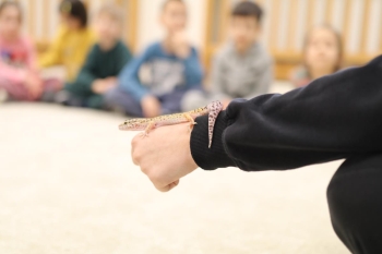 IMG_0292 (Loretanki.edu.pl).JPG