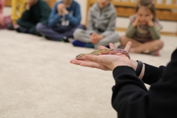 IMG_0293 (Loretanki.edu.pl).JPG