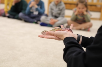 IMG_0294 (Loretanki.edu.pl).JPG