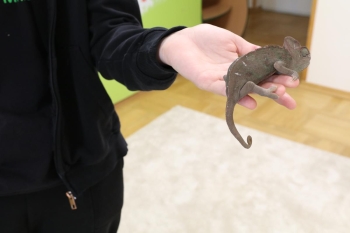 IMG_0310 (Loretanki.edu.pl).JPG