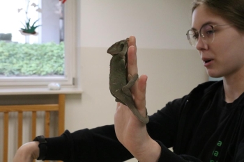 IMG_0316 (Loretanki.edu.pl).JPG