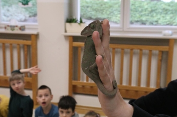 IMG_0317 (Loretanki.edu.pl).JPG