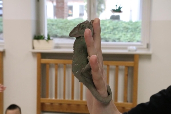 IMG_0318 (Loretanki.edu.pl).JPG