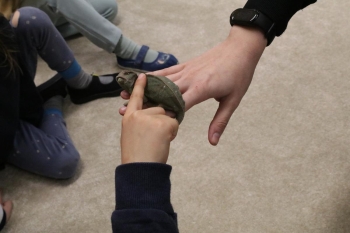 IMG_0325 (Loretanki.edu.pl).JPG