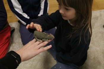 IMG_0326 (Loretanki.edu.pl).JPG