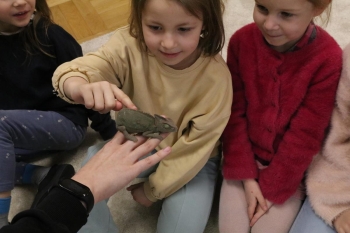 IMG_0327 (Loretanki.edu.pl).JPG