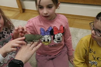 IMG_0333 (Loretanki.edu.pl).JPG