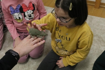 IMG_0334 (Loretanki.edu.pl).JPG