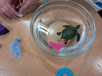 20260309_145343 (Loretanki.edu.pl)