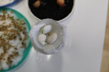 IMG_0782 (Loretanki.edu.pl).JPG