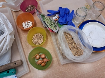 20260319_101240 (Loretanki.edu.pl)