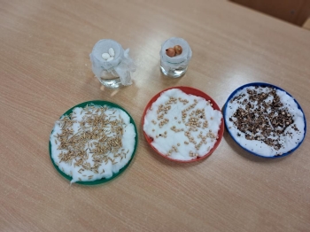 20260319_103427 (Loretanki.edu.pl)