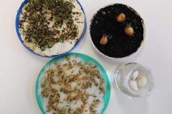 IMG_0781 (Loretanki.edu.pl).JPG