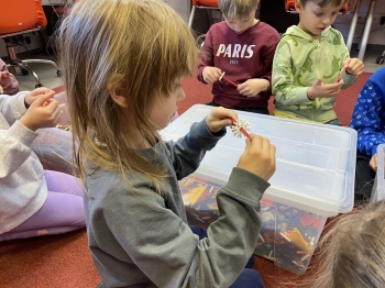 IMG_1590 (Loretanki.edu.pl).jpeg