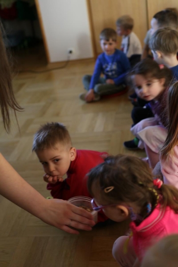 IMG_1388 (loretanki.edu.pl).JPG