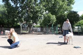 IMG_2638(loretanki.edu.pl).JPG