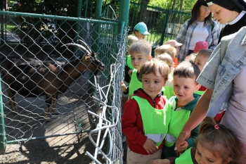IMG_2602(loretanki.edu.pl).JPG