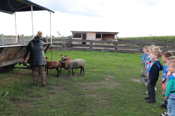 IMG_5562(loretanki.edu.pl).JPG