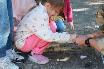 IMG_6152 www.loretanki.edu.pl.JPG