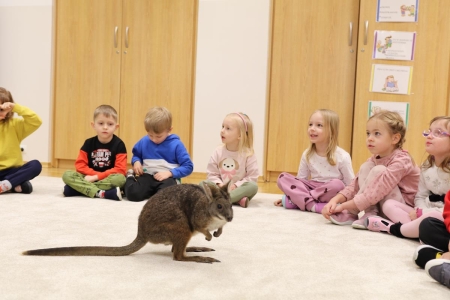 Pademelon w przedszkolu – spotkanie z cyklu Odlotowe Pokazy